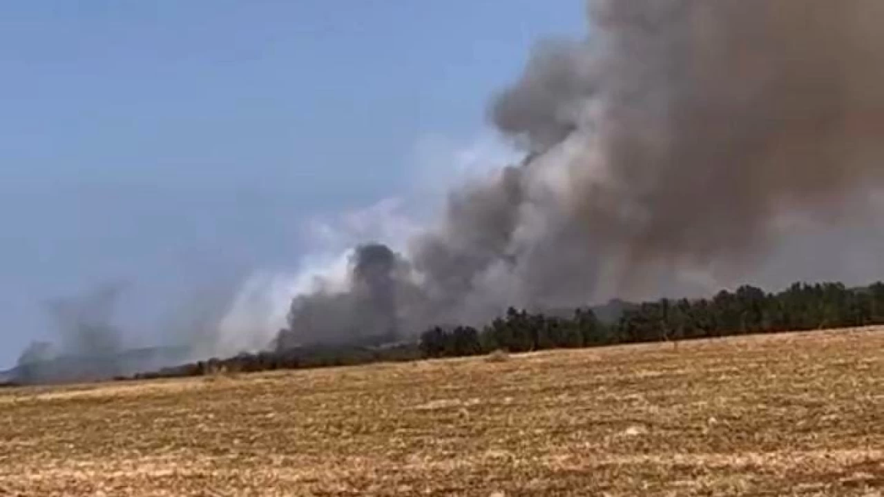 Bursa'da orman yangını, çok sayıda ekip müdahale ediyor