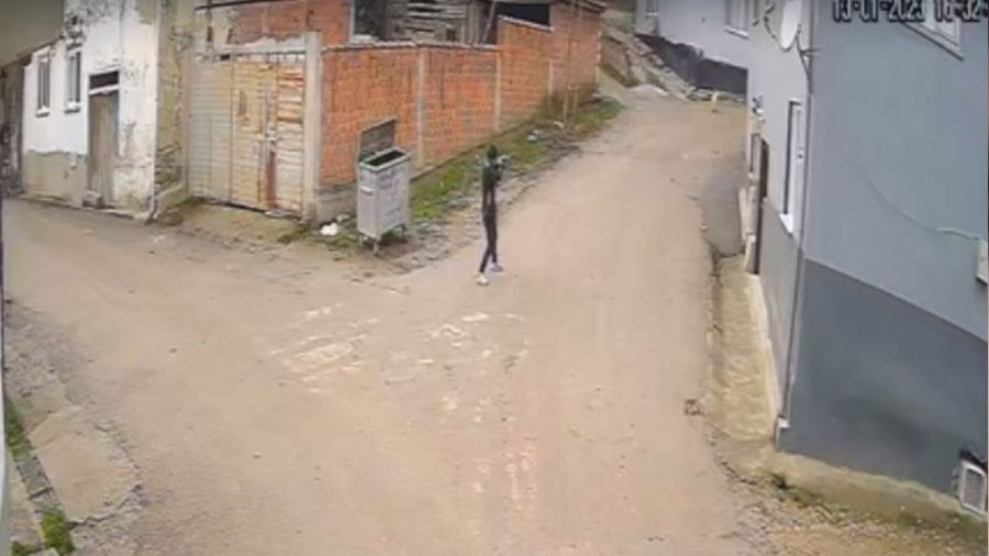 Bursa'da vahşet: Av tüfeği ile köpeği öldürdü