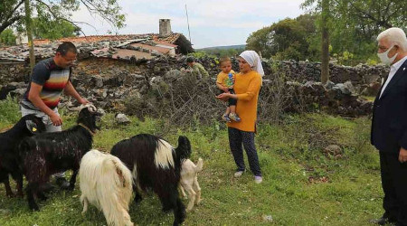 Bykehir'den 126 kadn reticiye Kl Keisi destei