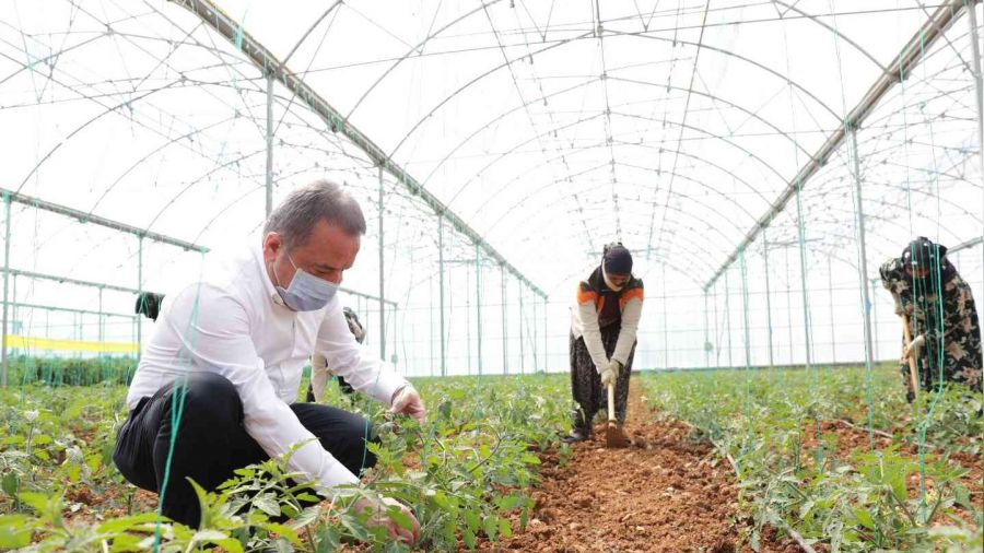 Büyükşehir'den mevsimlik tarım işçilerine destek