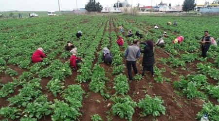 Çalışırken drone gördüler