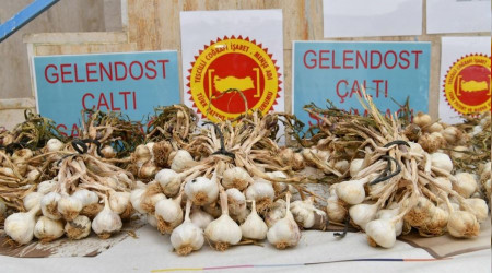 Çaltı sarımsağına coğrafi işaret