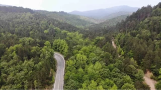 anakkale'de ormanlk alanlara giri yasa