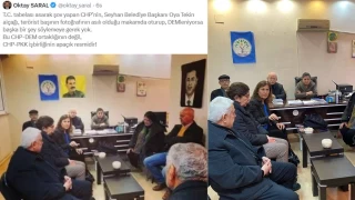 CHP’li Oya Tekin’den Erdoğan’ın başdanışmanı Oktay Saral’a montajlı fotoğraf yanıtı: Orijinalini paylaşıyorum ki ahlaksızlığınız görülsün