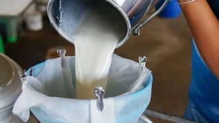 Çiğ süt üretiminde düşüş var