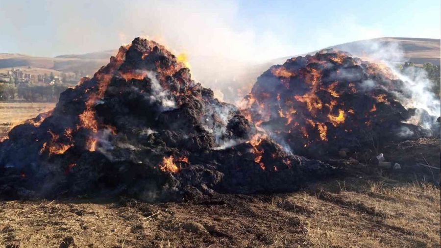 �ocuklar�n yakt��� ate� 650 balyay� ve �ad�r� k�l etti