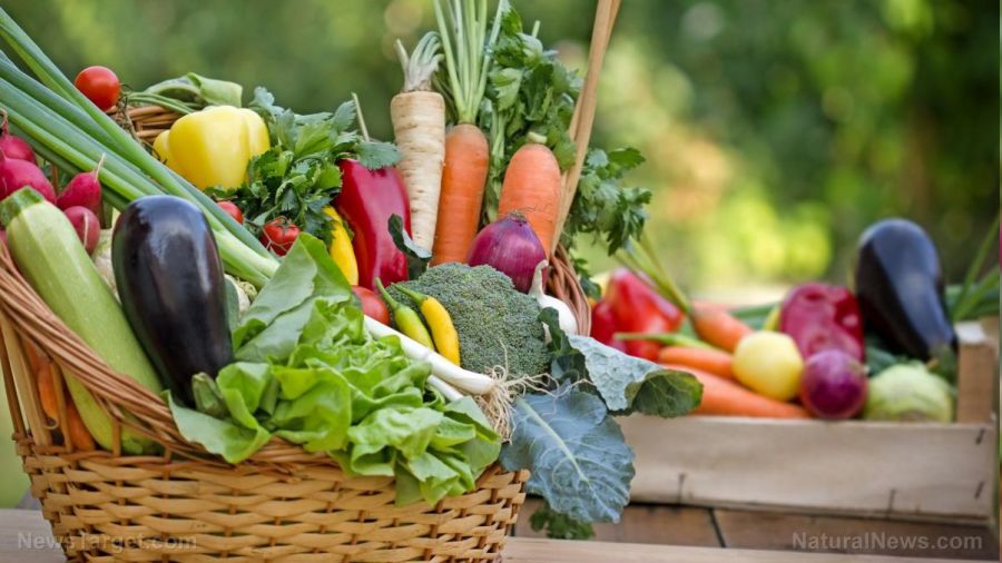D vitamini yumurtalık kanserinin yayılmasını önlüyor