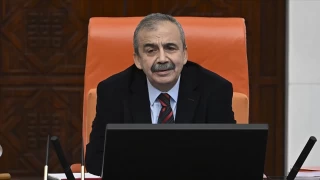 DEM Parti'den Srr Sreyya nder'e suikast iddias