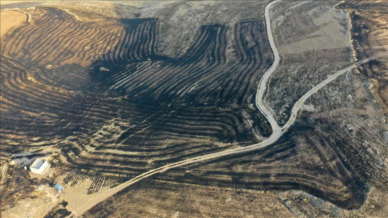 Diyarbakır - Mardin yangınında can kaybı 11'e yükseldi