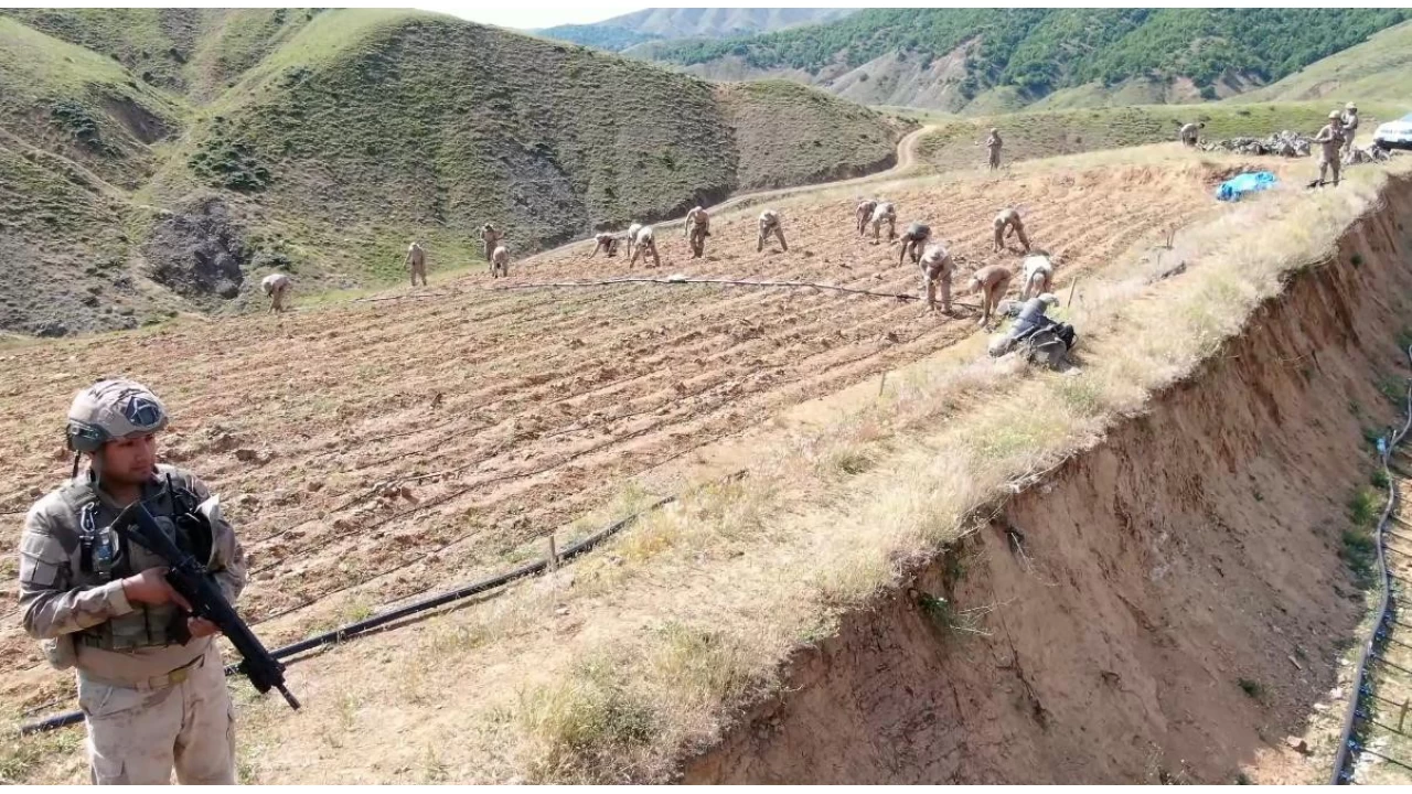 Diyarbakr'da byk uyuturucu operasyonu