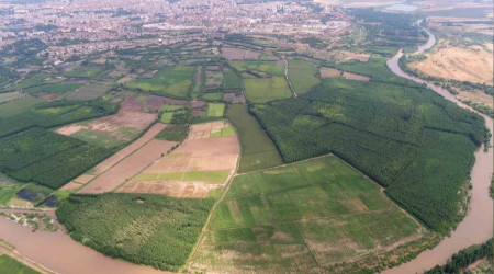 Diyarbakır'da çiftçinin yüzü yağışlarla güldü