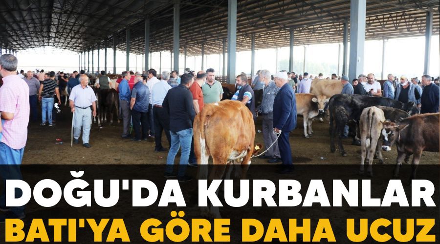Doğu'da kurbanlar Batı'ya göre daha ucuz