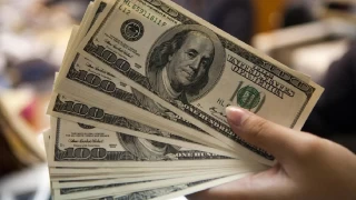 Dolar/TL 41,97 seviyesinden ilem gryor