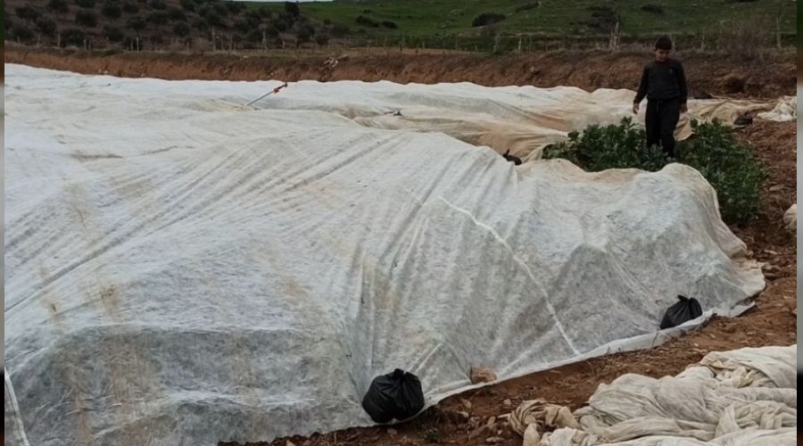 Don tehlikesine kar�� elyaf �rt�l� �nlem