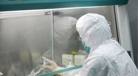 DSÖ: 80 maymun çiçeği vakası doğrulandı
