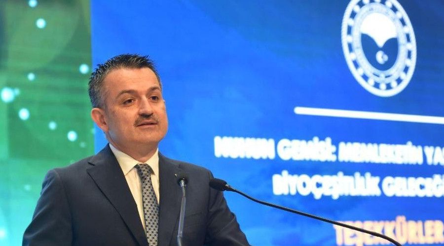 Dünyada biyolojik çeşitlilik azalırken Türkiye'de artıyor