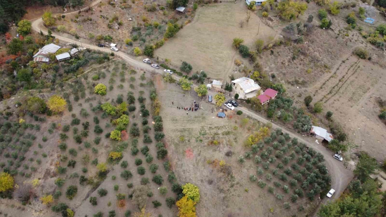 Dünyanın en pahalı baharatı Adana'da hasat edildi