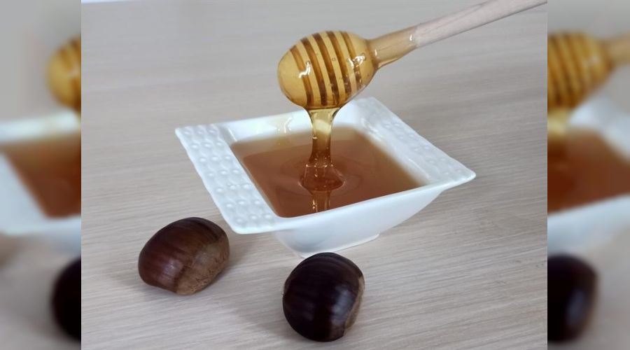 Düzce kestane balına coğrafi işaret tescili