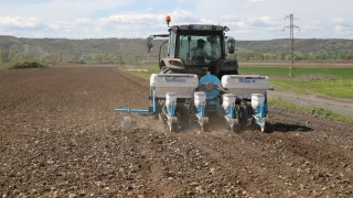 Edirne'de çiftçilerin ayçiçeği ekim mesaisi başladı