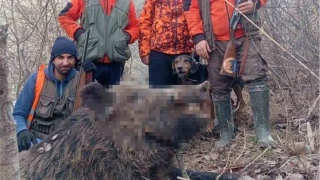 Elazığ'da avcılar sürü halinde domuz avladı