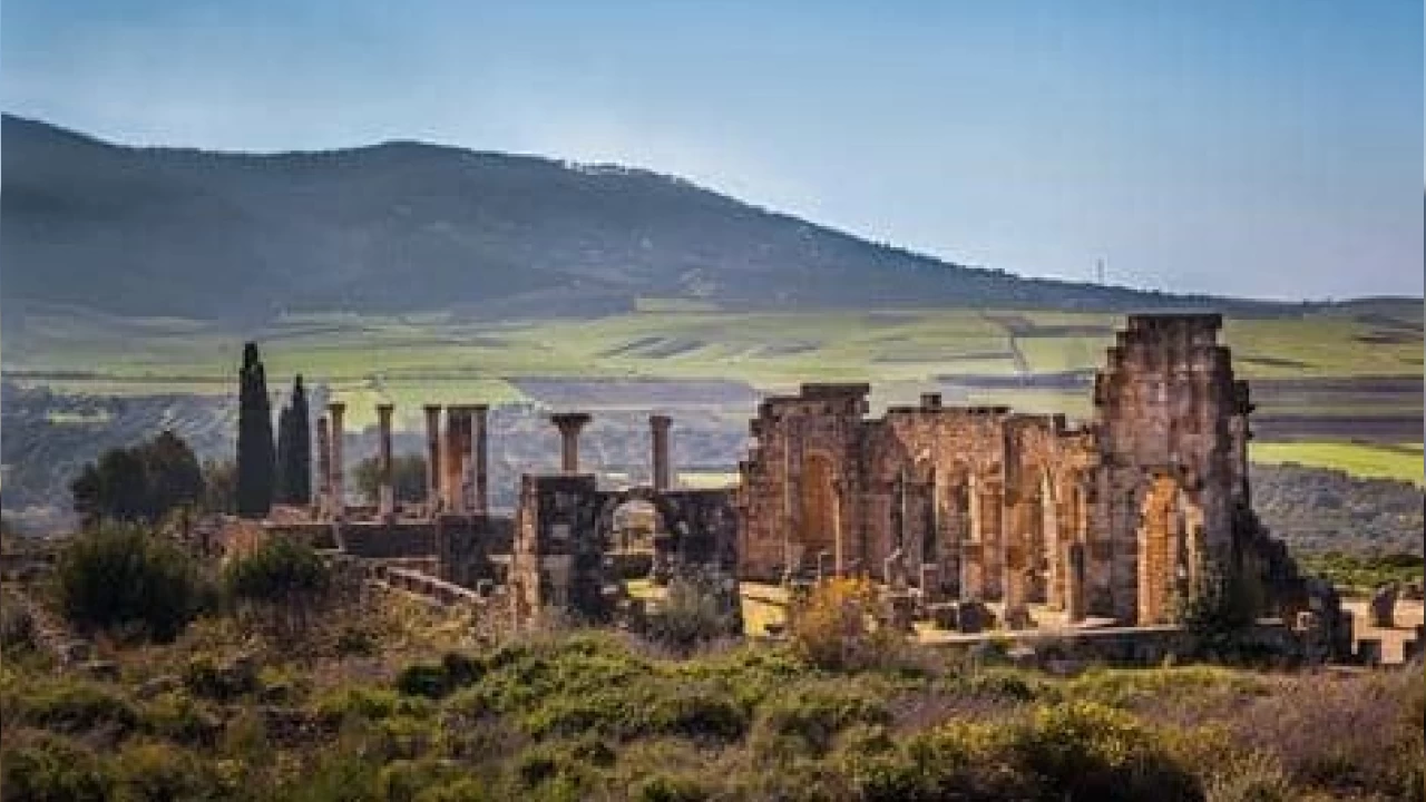 Fasn Tarihi Hazinesi: Volubilis Antik Kenti