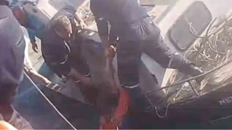 Feribottan atlayan ki�iyi Gesta� personelleri ve bal�k��lar kurtard�