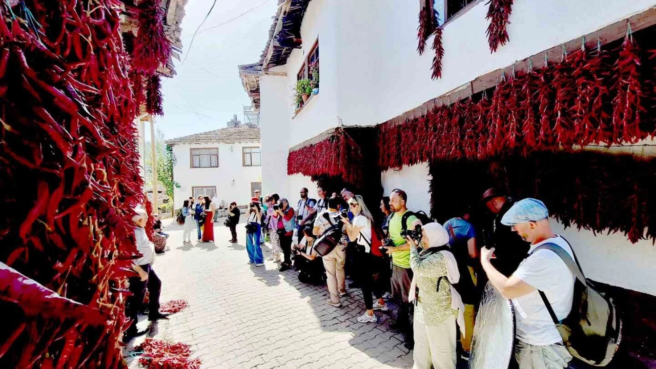 Fotoğraf tutkunları 'Çukurören biberi'ni görüntülemek için Bilecik'e geldi