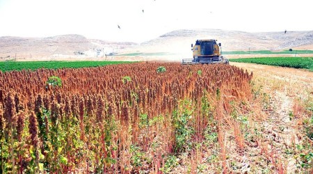 GAP bölgesinde arazi toplulaştırma çalışmaları hızlandı