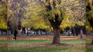 Gaziantep'te sonbahar