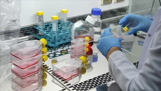 Gençler bırakın işi, staj yapacak yer bulamıyor