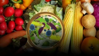 Gıda zehirlenmesi vakaları artıyor: Uzmandan kritik uyarılar