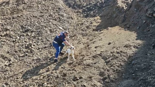 Görme engelli köpek kurtarıldı