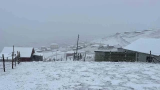 Gmhane'nin yksek kesimleri kara teslim oldu