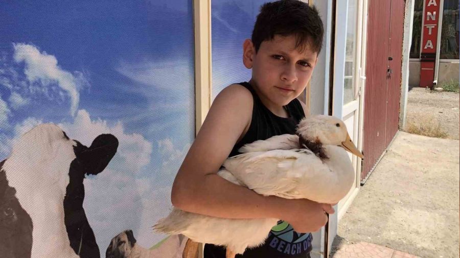 Halit, sansar�n sald�rd��� �rde�ini veterinere g�t�rd�