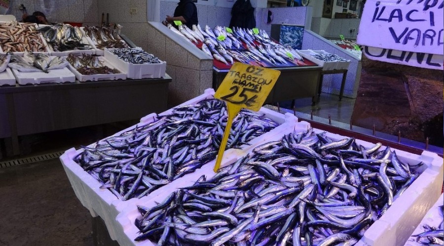Hamsi fiyatıyla şaşırtmaya devam ediyor