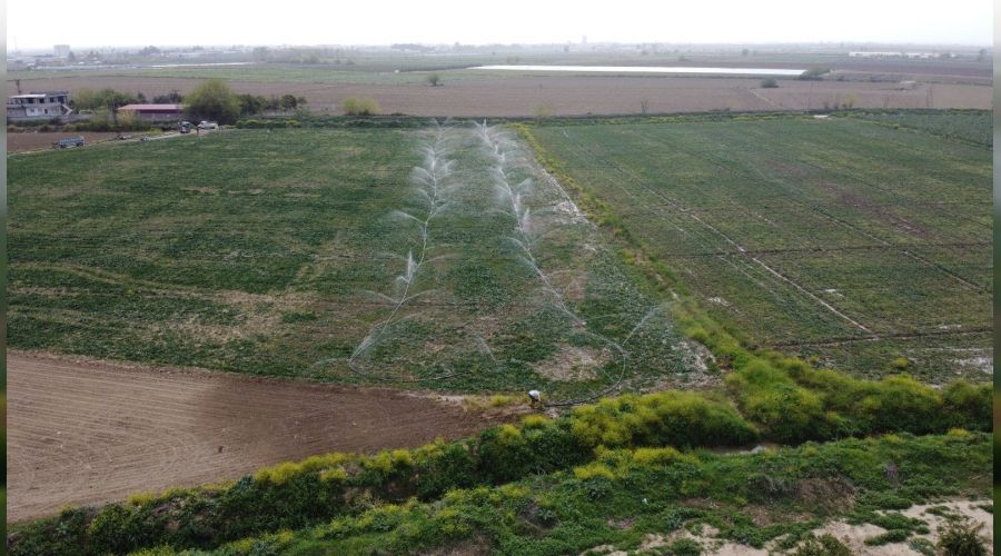 Hatay'da 2021 sulama sezonu ba�lad�