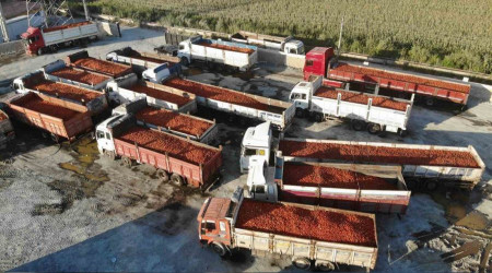Hatay'da üretilen salça 20 ülkeye ihraç ediliyor