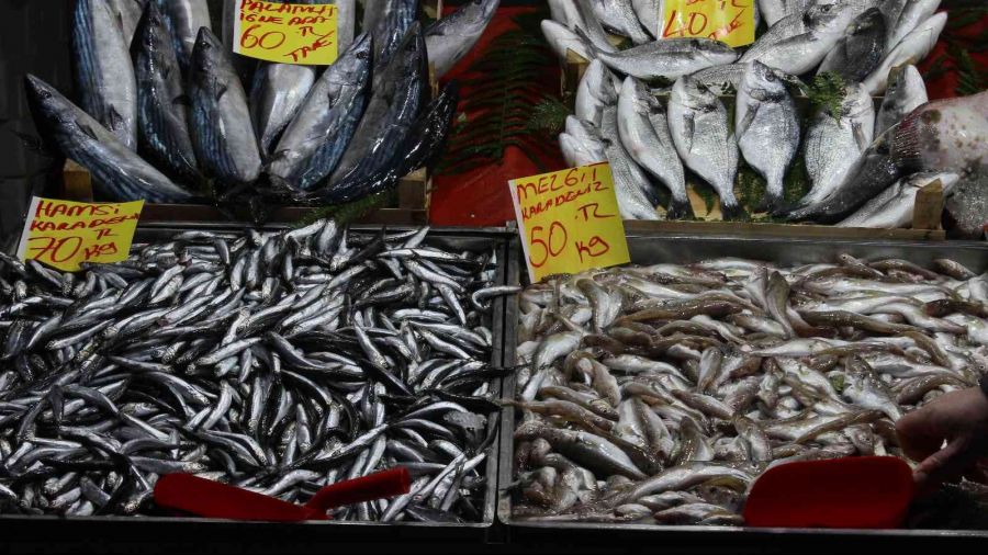 Havalar�n so�umas�yla bal��a ilgi artt�