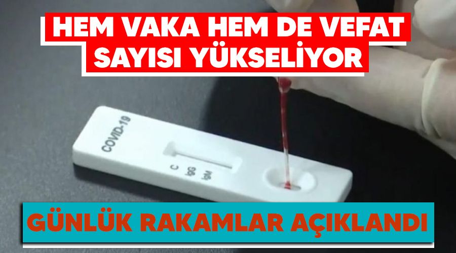 Hem vaka hem de vefat sayısı yükseliyor