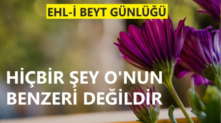 ‘Hiçbir şey O’nun benzeri değildir’