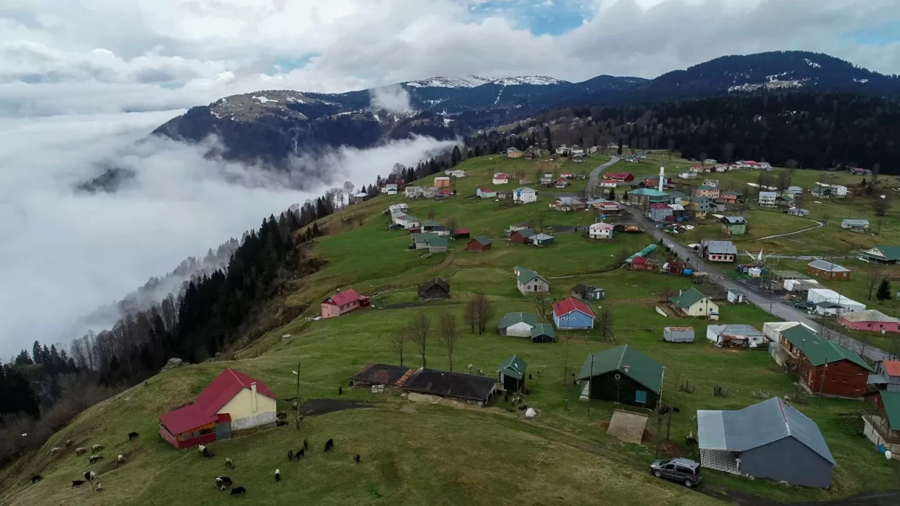 Hıdırnebi Yaylası: Akçaabat’ta, sisli dağlar ve yayla şenlikleriyle meşhur
