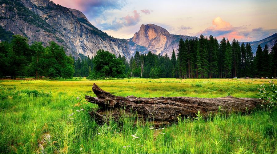 �H�seyin�i zalim bir grup �ld�recektir�