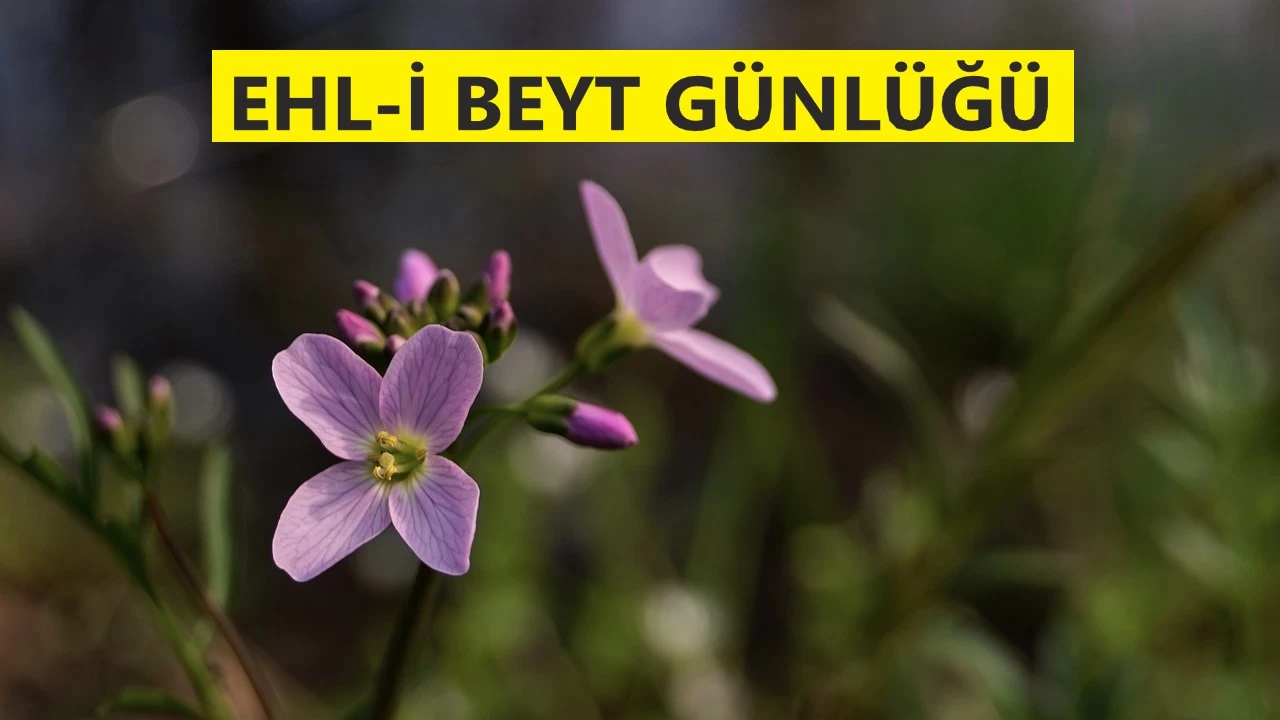 Hz. Ali barışın, Muaviye intikamın peşindeydi