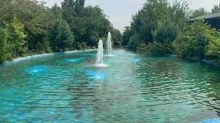 I�d�r Kent Orman�: �ehrin merkezinde do�al ya�am 