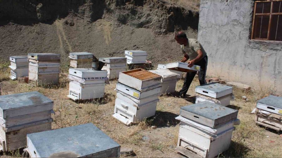 I�d�r'da bal hasad�nda bu y�l istenilen rand�man al�namad�