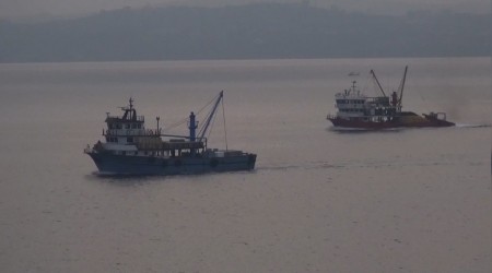 İklim değişikliği hamsiyi vurdu