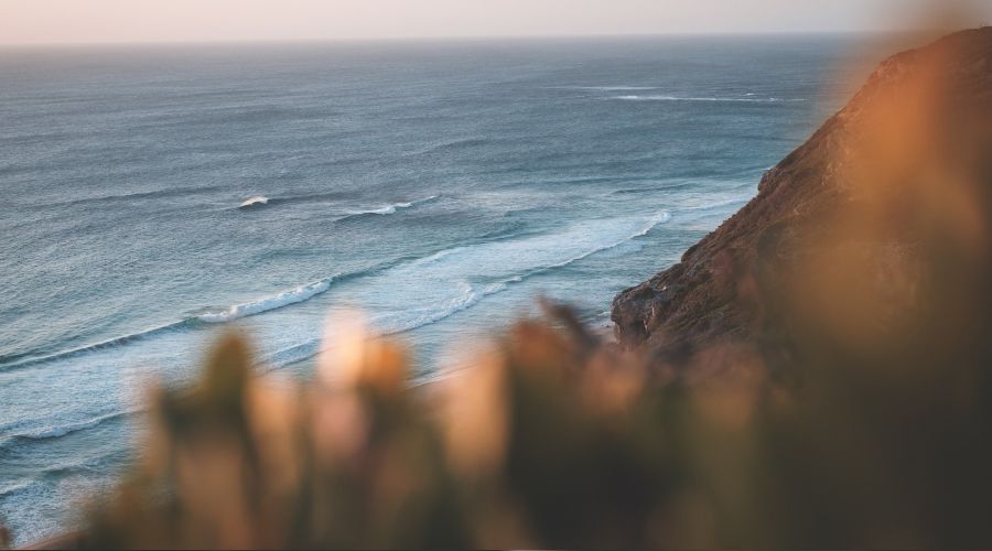 ��lim her y�ce halin k�k�d�r�