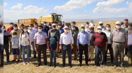 İlk hasada Vali Varol da katıldı