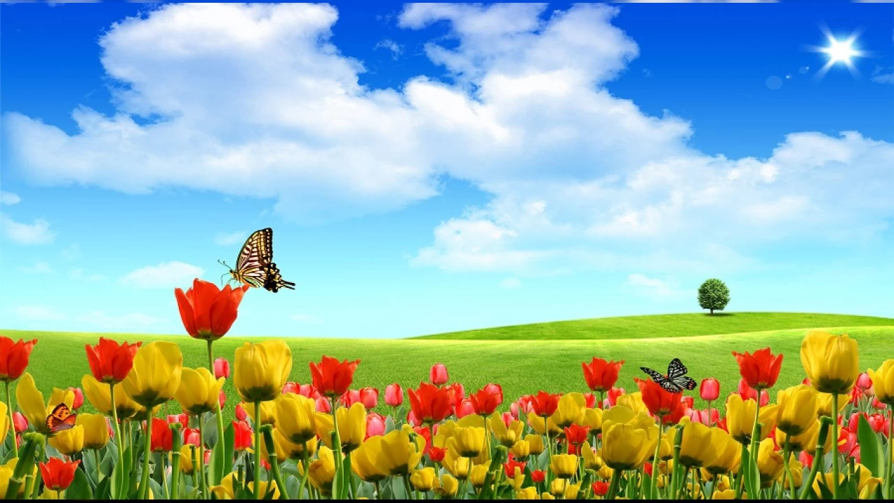 �mam R�za�n�n se�kin ahlak ve ibadeti
