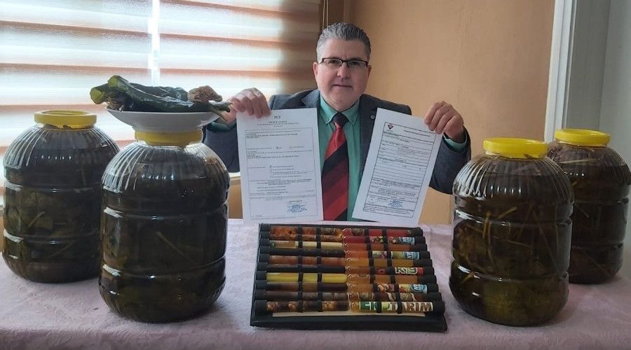 İncir yaprağı hastane mikrobuna çözüm olacak